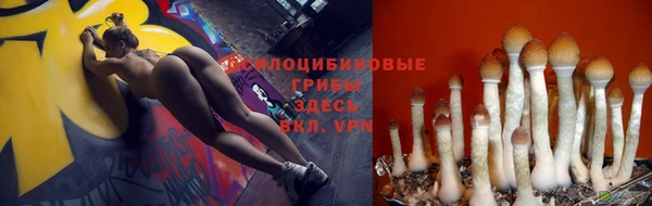 дурь Гусь-Хрустальный