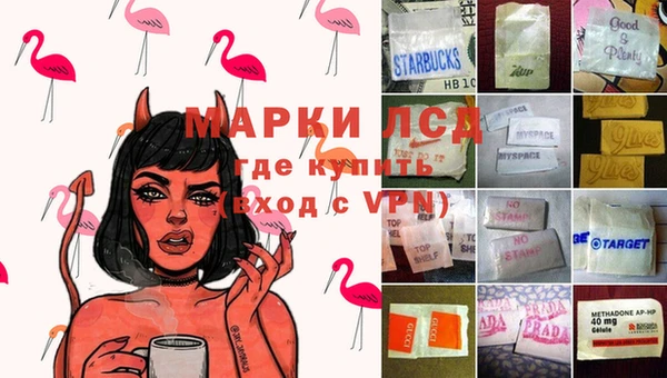 молекула духа Гвардейск