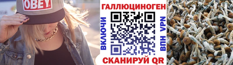 закладка  ссылка на мегу вход  Псилоцибиновые грибы Psilocybe  дарк нет состав  Волоколамск 